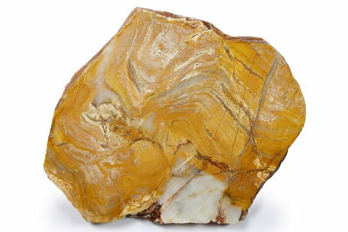 Polished Strelley Pool Stromatolite Slab - Billion Years Old #273568